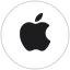 Apple favicon
