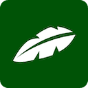 https://jungleai.com favicon