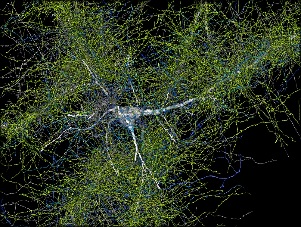 Google Research: Catalyzing Scientific Impact Through Global Partnerships and Open Resources