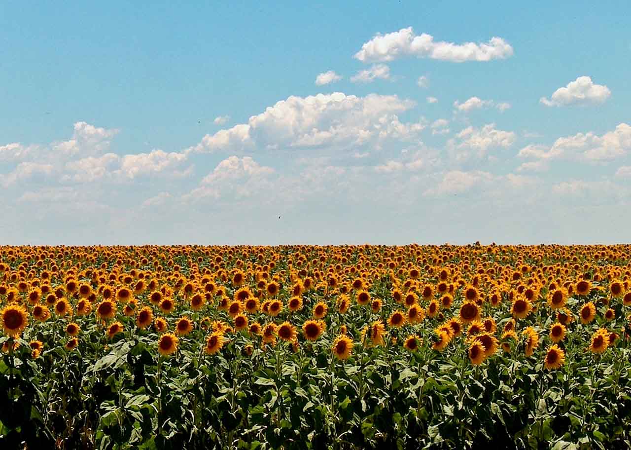 S3 Files and the Evolution of Data Management: Insights from Andy Warfield and the S3 Team