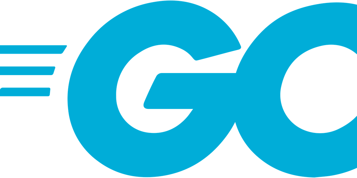 Why Go is the Ideal Programming Language for the Era of AI-Assisted Software Engineering and Code Review