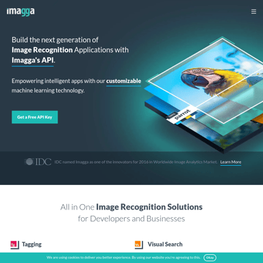 Image Recognition API, Computer Vision AI – Imagga