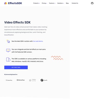 Effects SDK - Vidéo AI Tool Screenshot