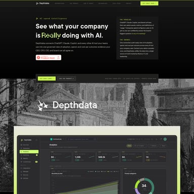 DepthData - Finance AI Tool Screenshot