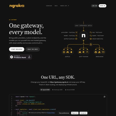 ngrok AI Gateway - 编程&IT AI Tool Screenshot