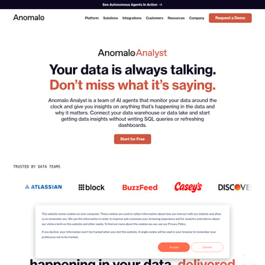 Anomalo - Code und IT AI Tool Screenshot