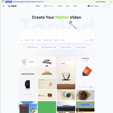 TapVid product interface preview