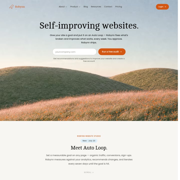 Robynn AI Verkoop en Marketing AI tool screenshot