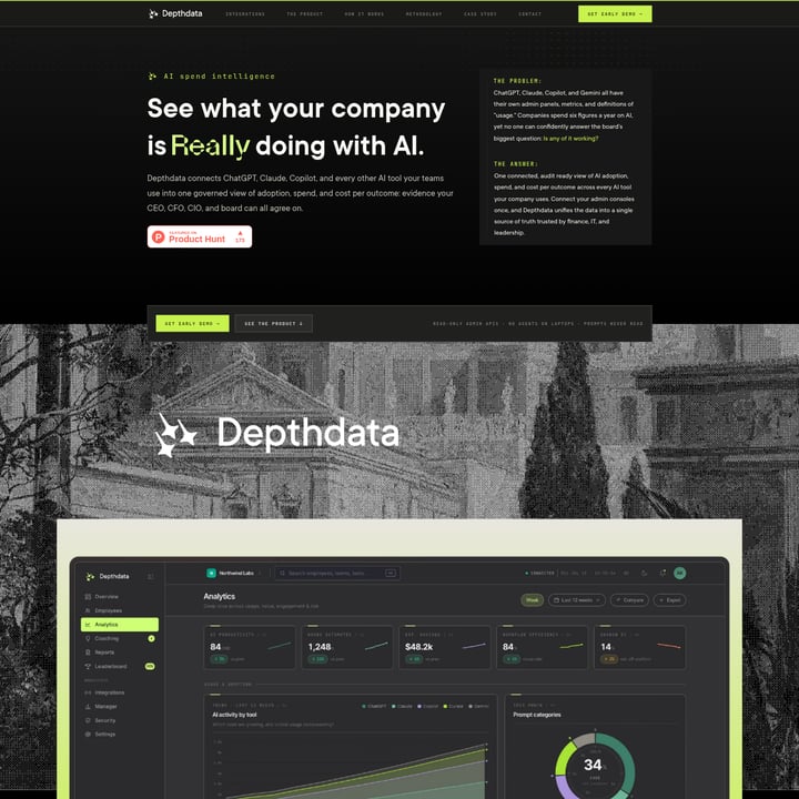 DepthData Financiën AI tool screenshot