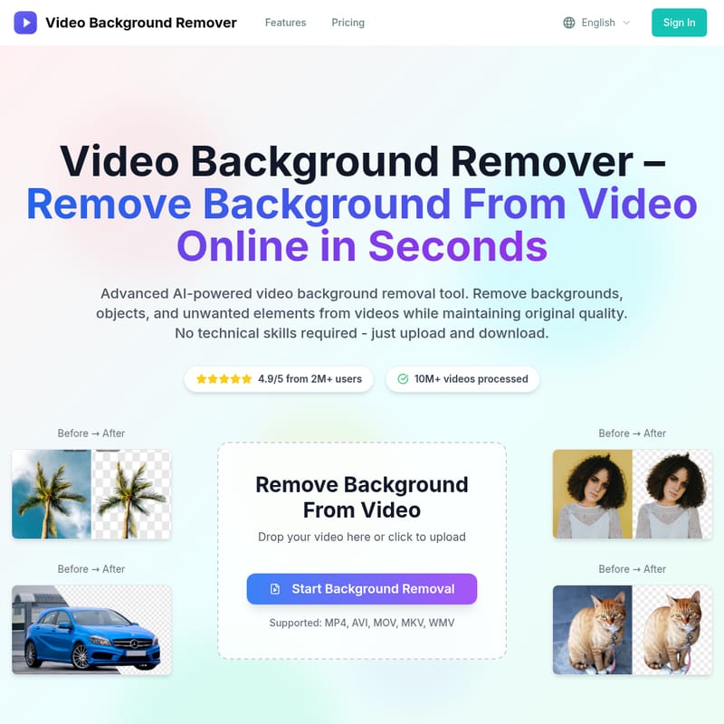 video background remover