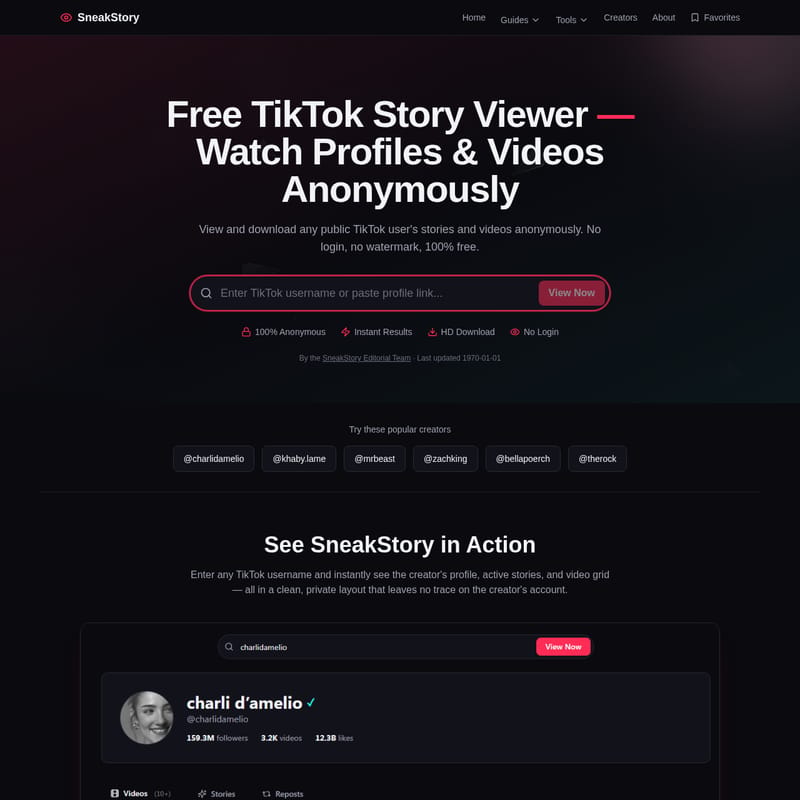 View SneakStory - SneakStory – Der ultimative kostenlose TikTok Story Viewer und Video Downloader ohne Anmeldung SneakStory - AI Tool Screenshot and Interface Preview